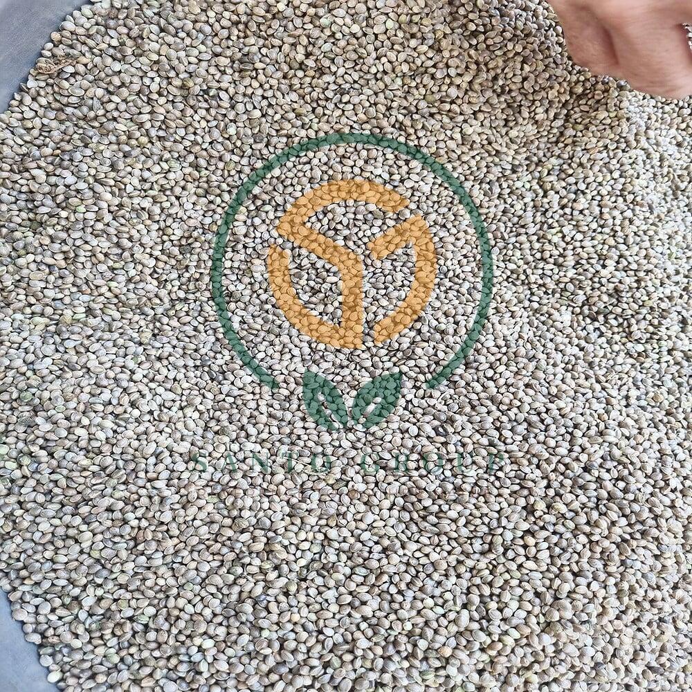 Hemp Seeds