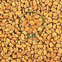 Spices like turmeric, fenugreek, etc.