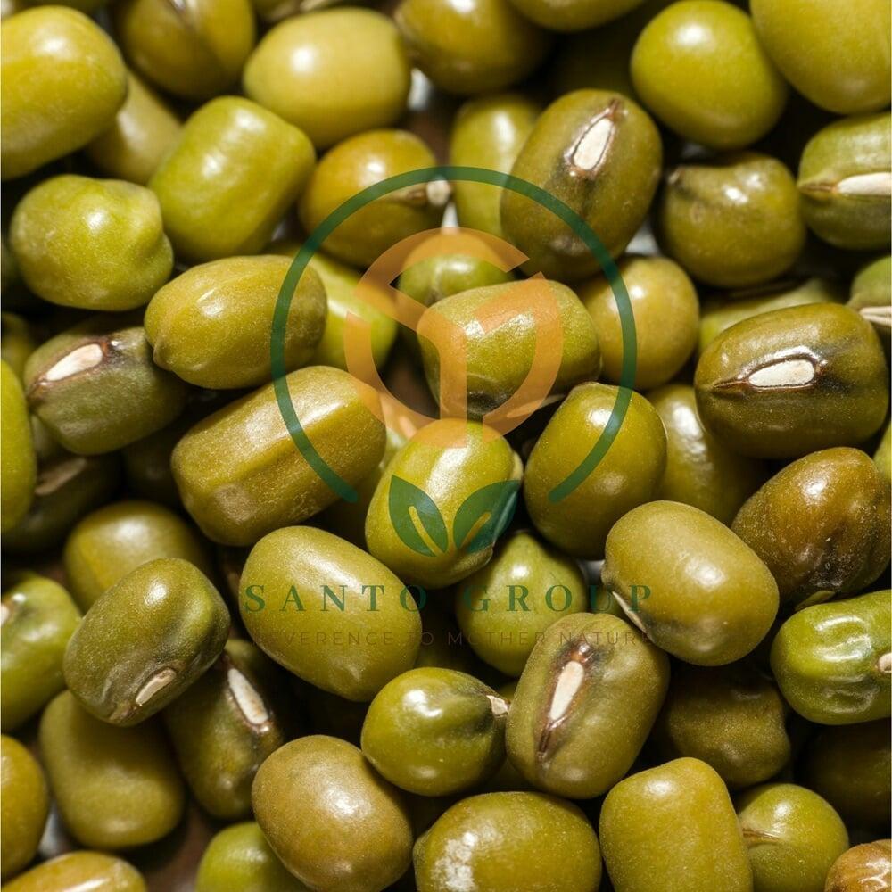 Moong or Green Gram