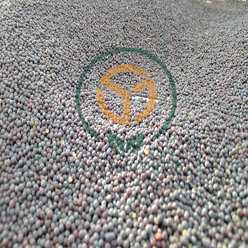 Brown or Black Mustard Seeds