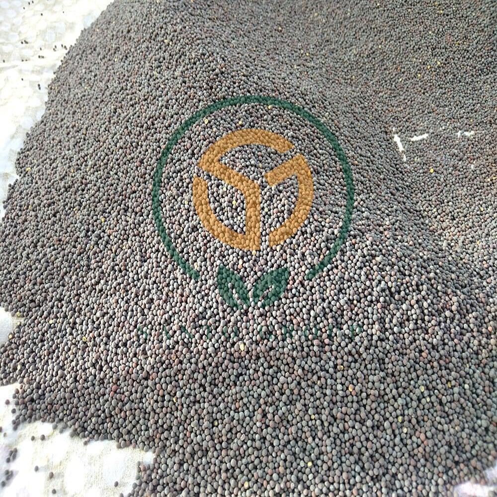 Brown or Black Mustard Seeds