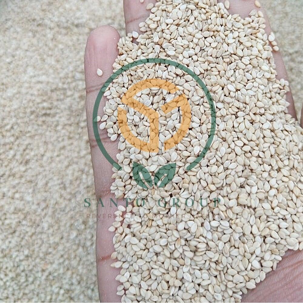 White Sesame Seeds