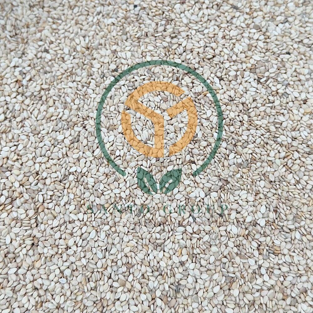 White Sesame Seeds