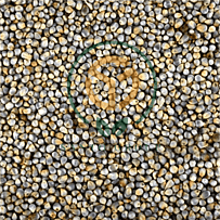 Millets and Grains like Bajra (Pearl Millet), etc.