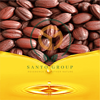 Oils like Cold Pressed Jojoba Oil, etc.