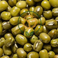 Pulses like Desi Chana, Moong, etc.